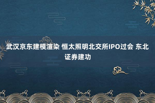 武汉京东建模渲染 恒太照明北交所IPO过会 东北证券建功