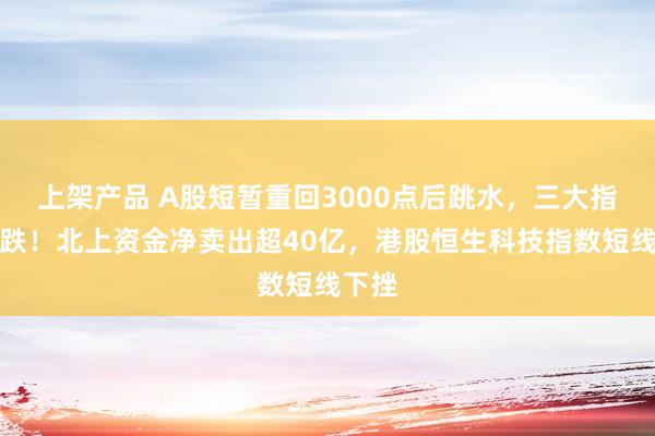 上架产品 A股短暂重回3000点后跳水，三大指数转跌！北上资金净卖出超40亿，港股恒生科技指数短线下挫