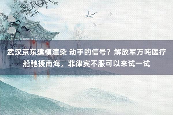 武汉京东建模渲染 动手的信号？解放军万吨医疗船驰援南海，菲律宾不服可以来试一试