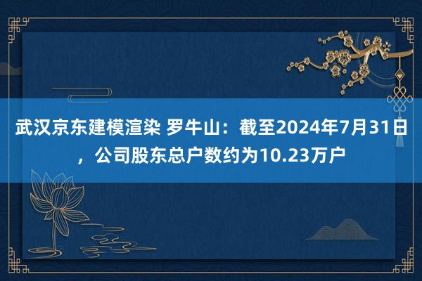 武汉京东建模渲染 罗牛山：截至2024年7月31日，公司股东总户数约为10.23万户