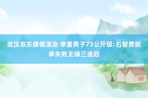 武汉京东建模渲染 举重男子73公斤级:石智勇挺举失败无缘三连冠