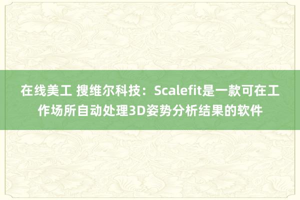 在线美工 搜维尔科技：Scalefit是一款可在工作场所自动处理3D姿势分析结果的软件